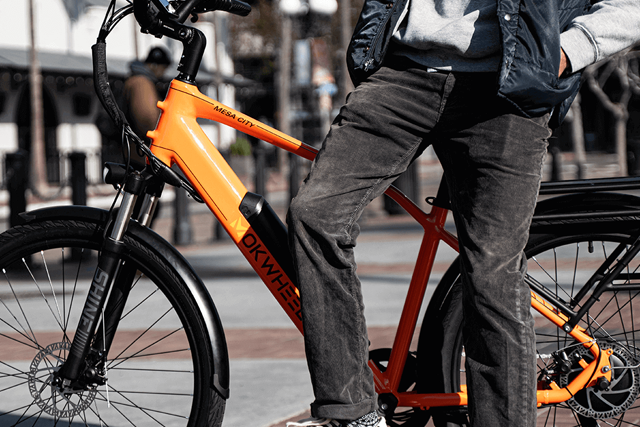 Mokwheel - electric bike for adults for sale
