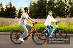 FLINT Ebike