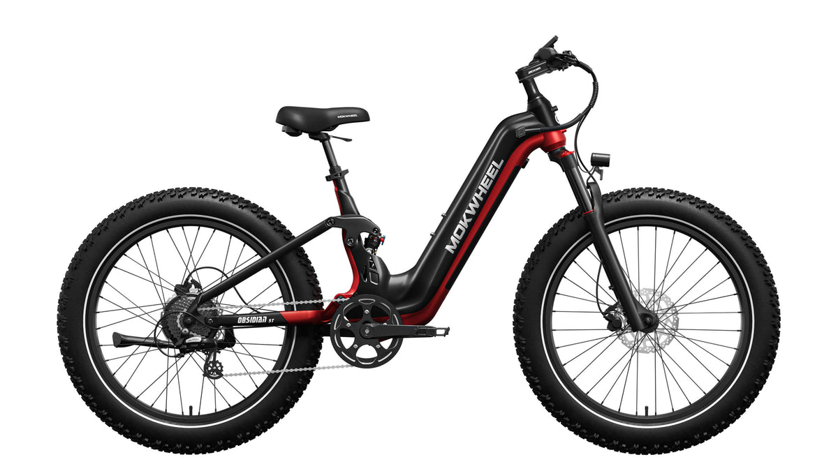 Obsidian ST Ebike