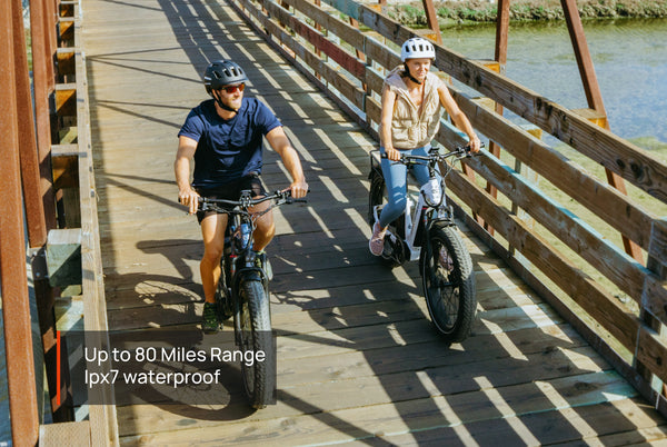Basalt Ebike