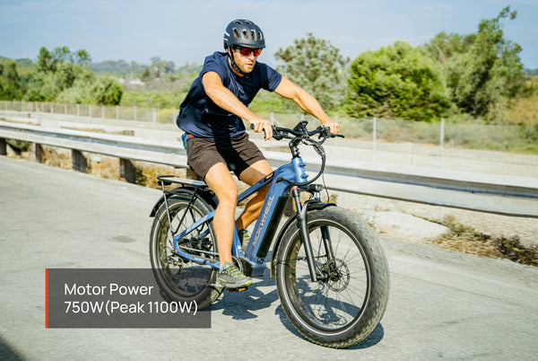 Basalt Ebike