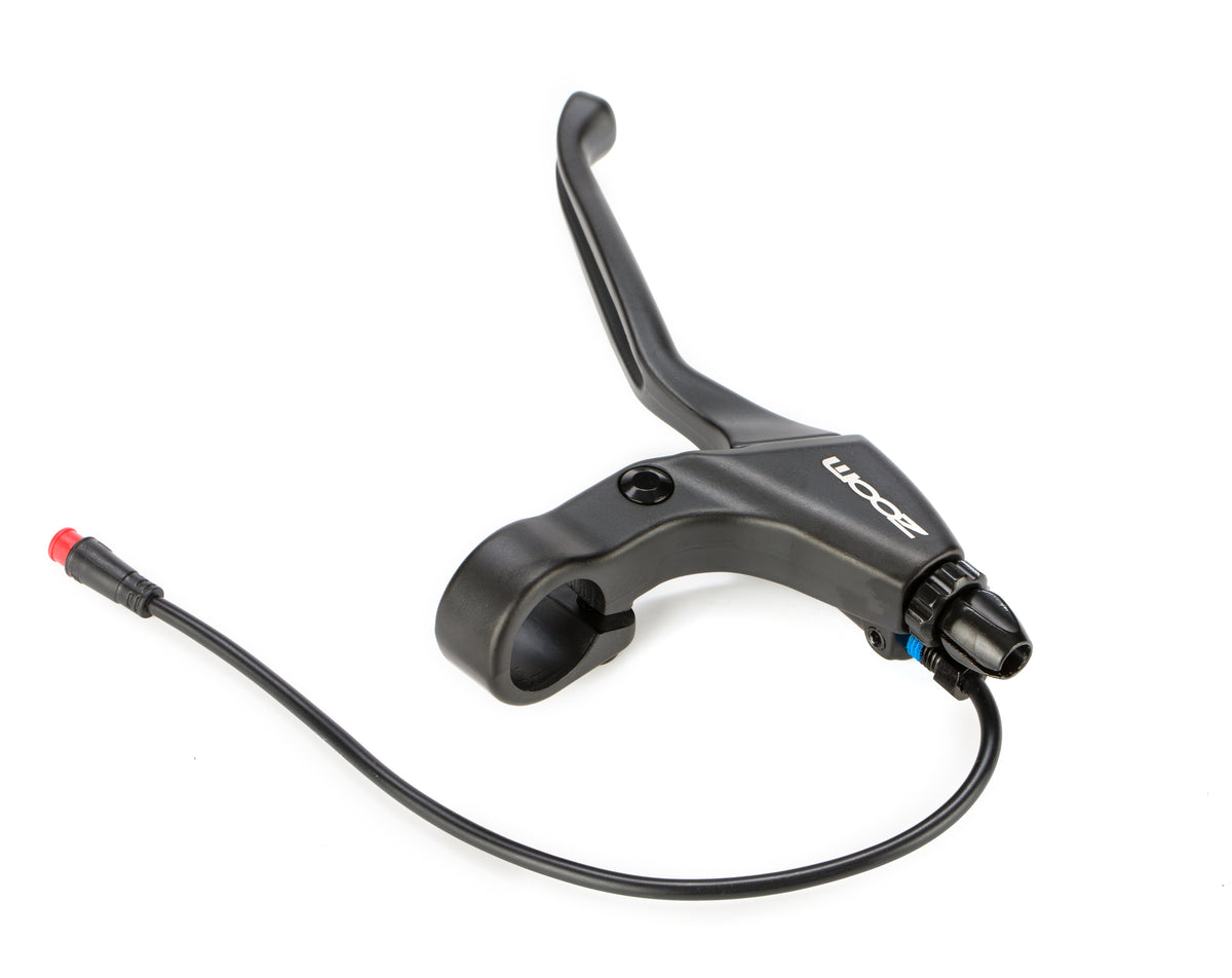 electric bike for adults for sale