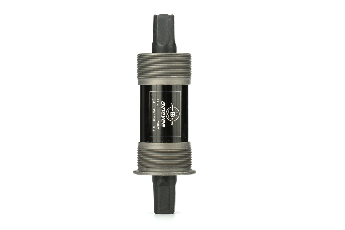 electric bike for adults for sale