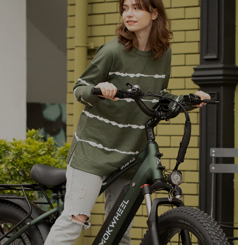 Mokwheel - most popular ebike brands
