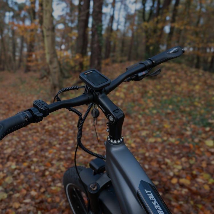 Handlebar & Grips