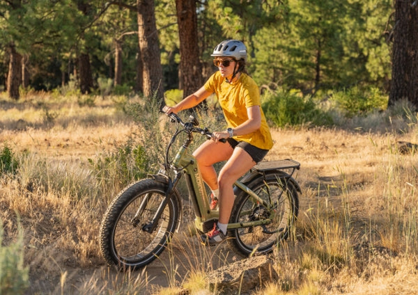 Mokwheel Ebikes