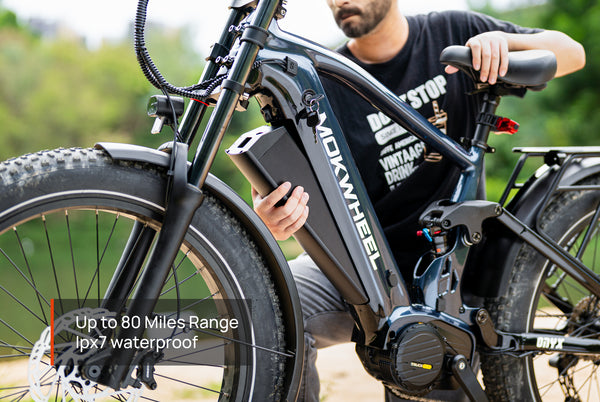 Onyx ST Ebike