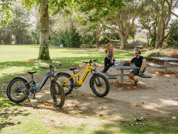 Mokwheel Ebikes