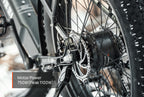 Tor Plus Ebike