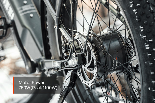 Tor Plus Ebike