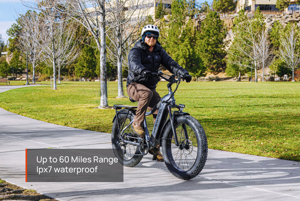 Tor Plus Ebike