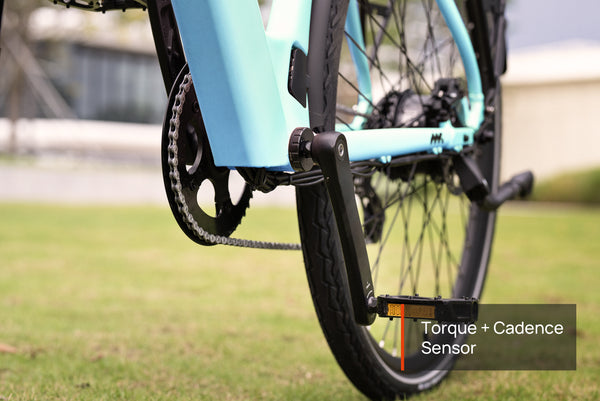 FLINT Ebike
