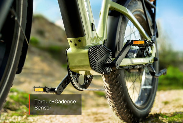 Basalt ST 2.0 Ebike